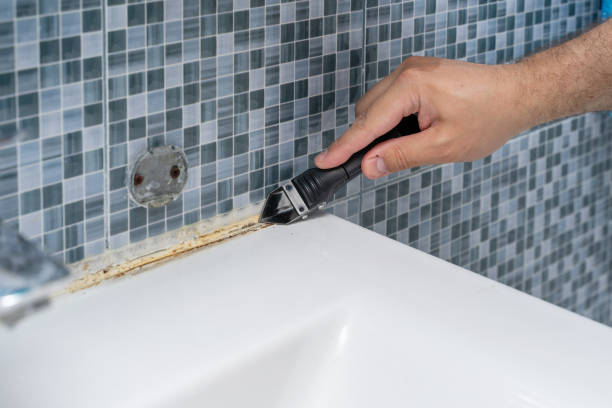 Best Commercial Mold Remediation in Boulevard Park, WA